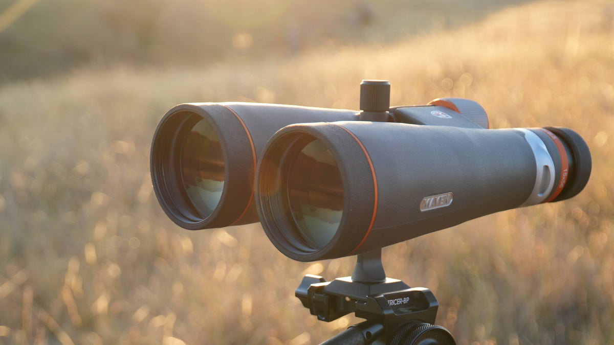 8x42 vs 10x42 Hunting Binoculars, Which Should You Buy?