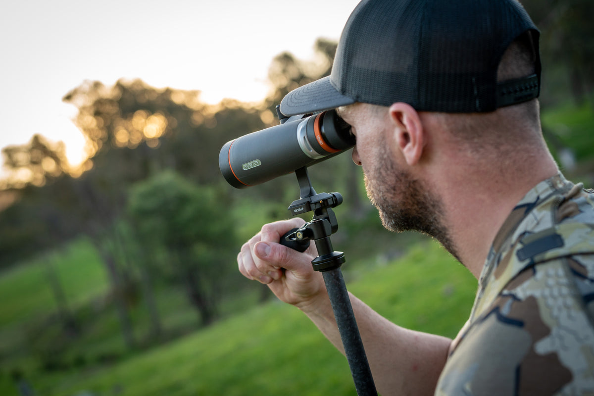 Maven B.6 - 10X50 / 12X50 Binoculars