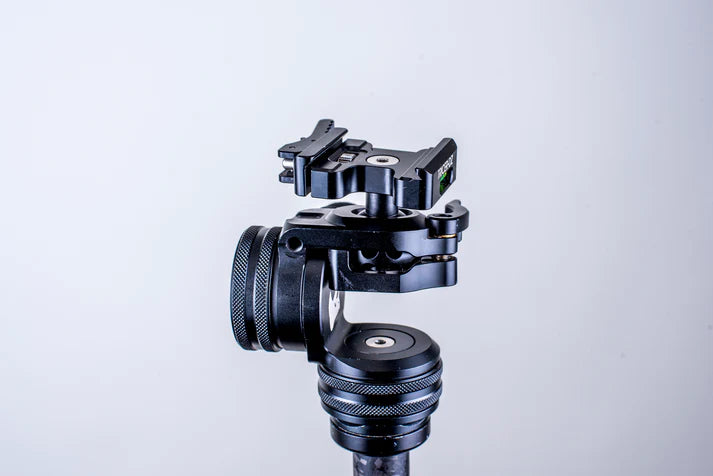 Tricer-DZ Panhead/Ballhead