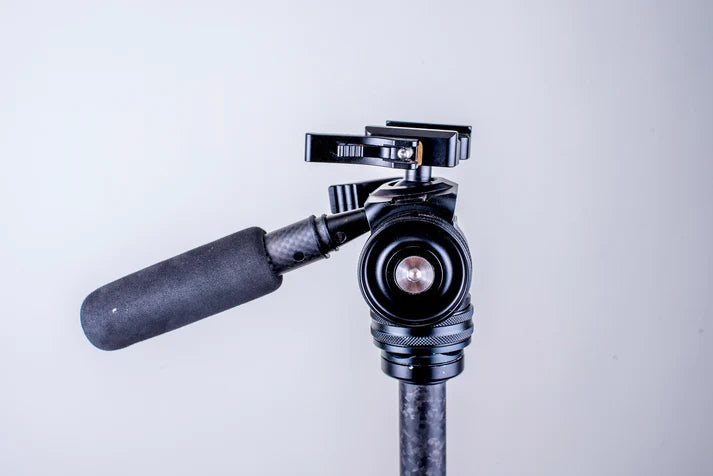 Tricer-DZ Panhead/Ballhead